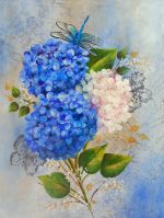 Blue and Cream Hydrangeas 12x16