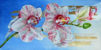 Orchid 12x24