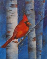 Cardinal and Birches 8x10